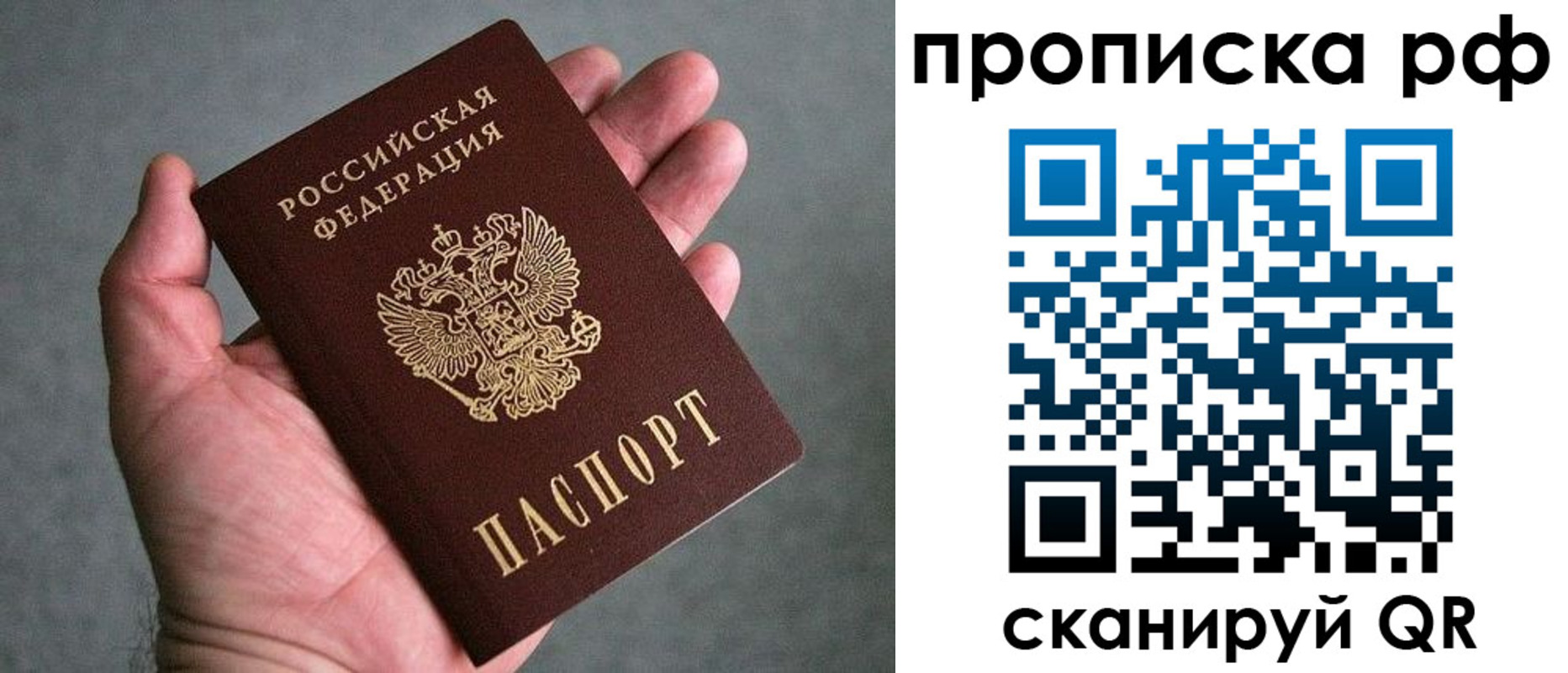 купить прописку в Кольчугино